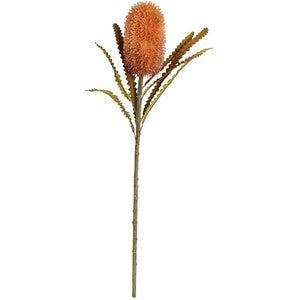 Banksia Stem in amber — Lumara Home