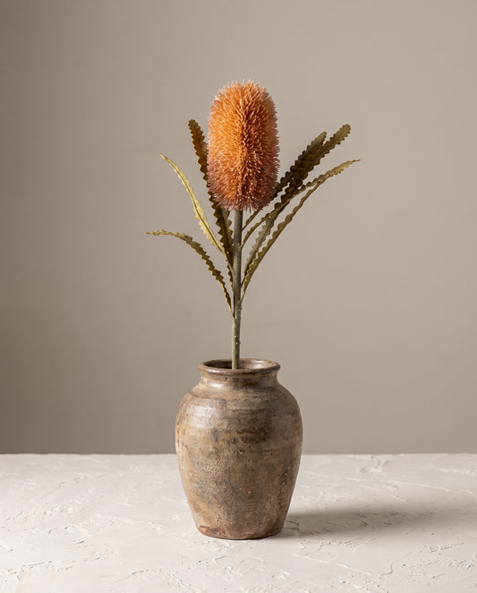 Banksia Stem amber in rustic ceramic vase — Lumara Home