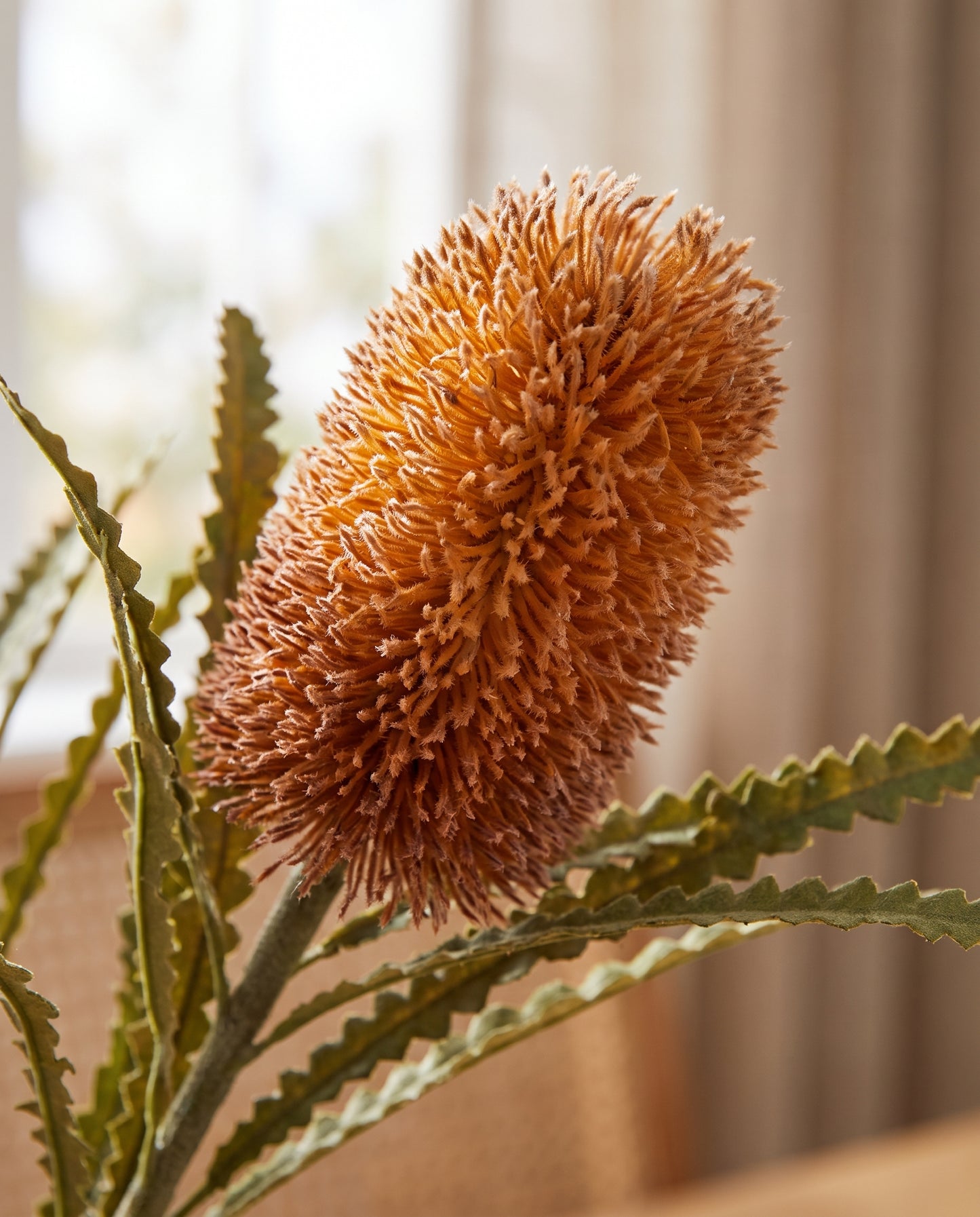 Banksia Stem amber bloom texture detail — Lumara Home