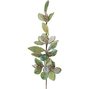 Velvet Leaf Stem sage green detail — Lumara Home