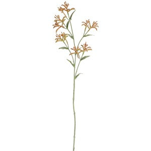 Kangaroo Paw Stem faux native — Lumara Home
