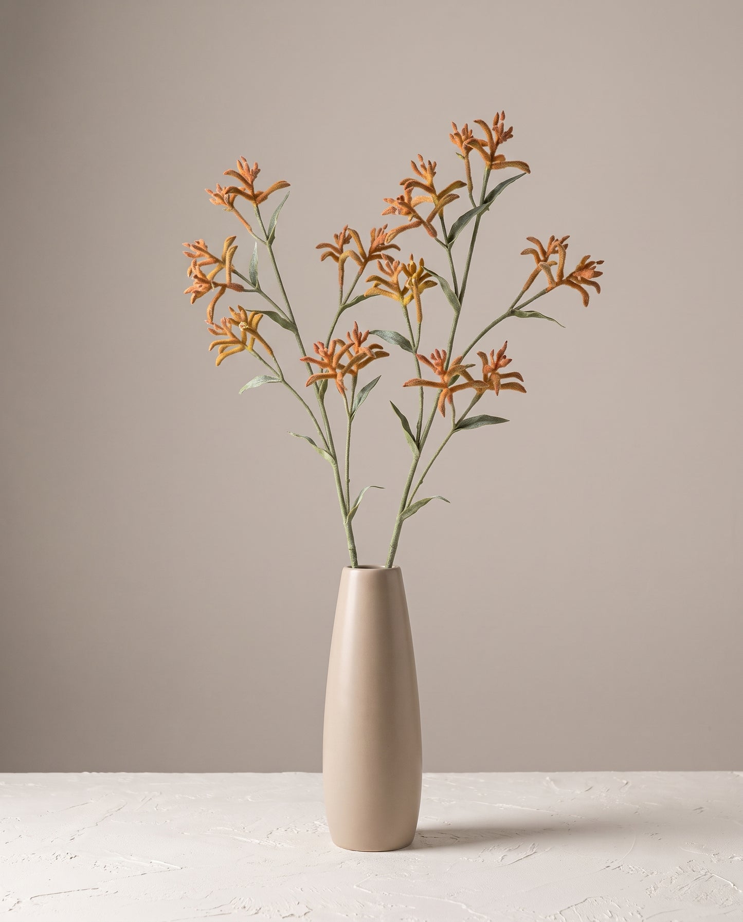 Kangaroo Paw Stems in slender ceramic vase — Lumara Home