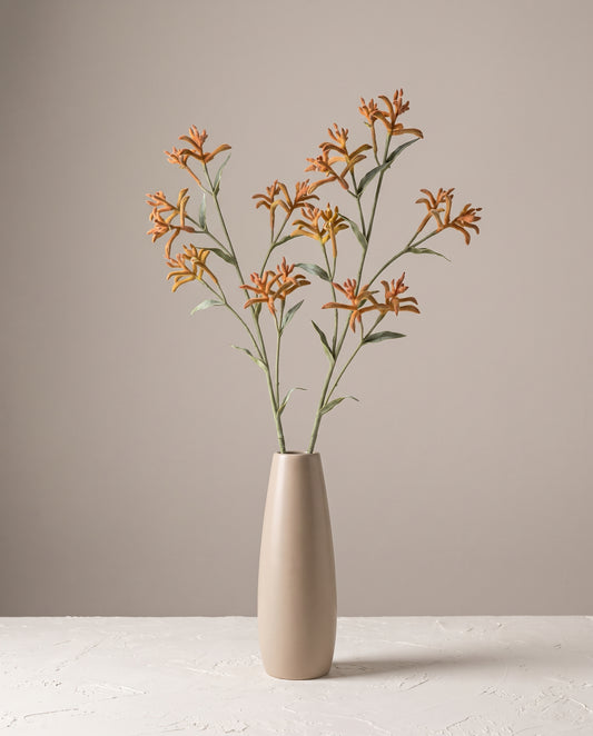 Kangaroo Paw Stems in slender ceramic vase — Lumara Home