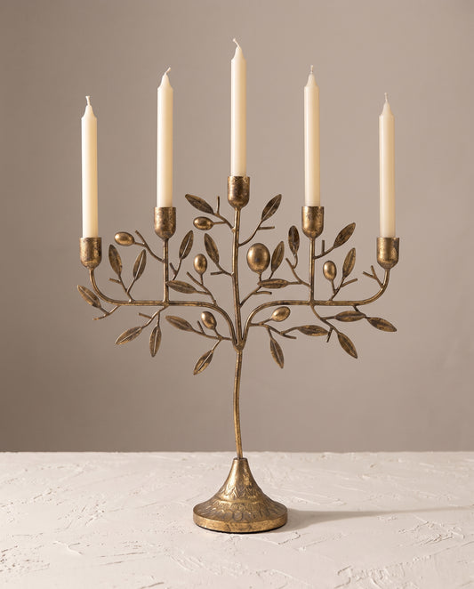 Olive Mediterranean Candelabra with cream taper candles — Lumara Home