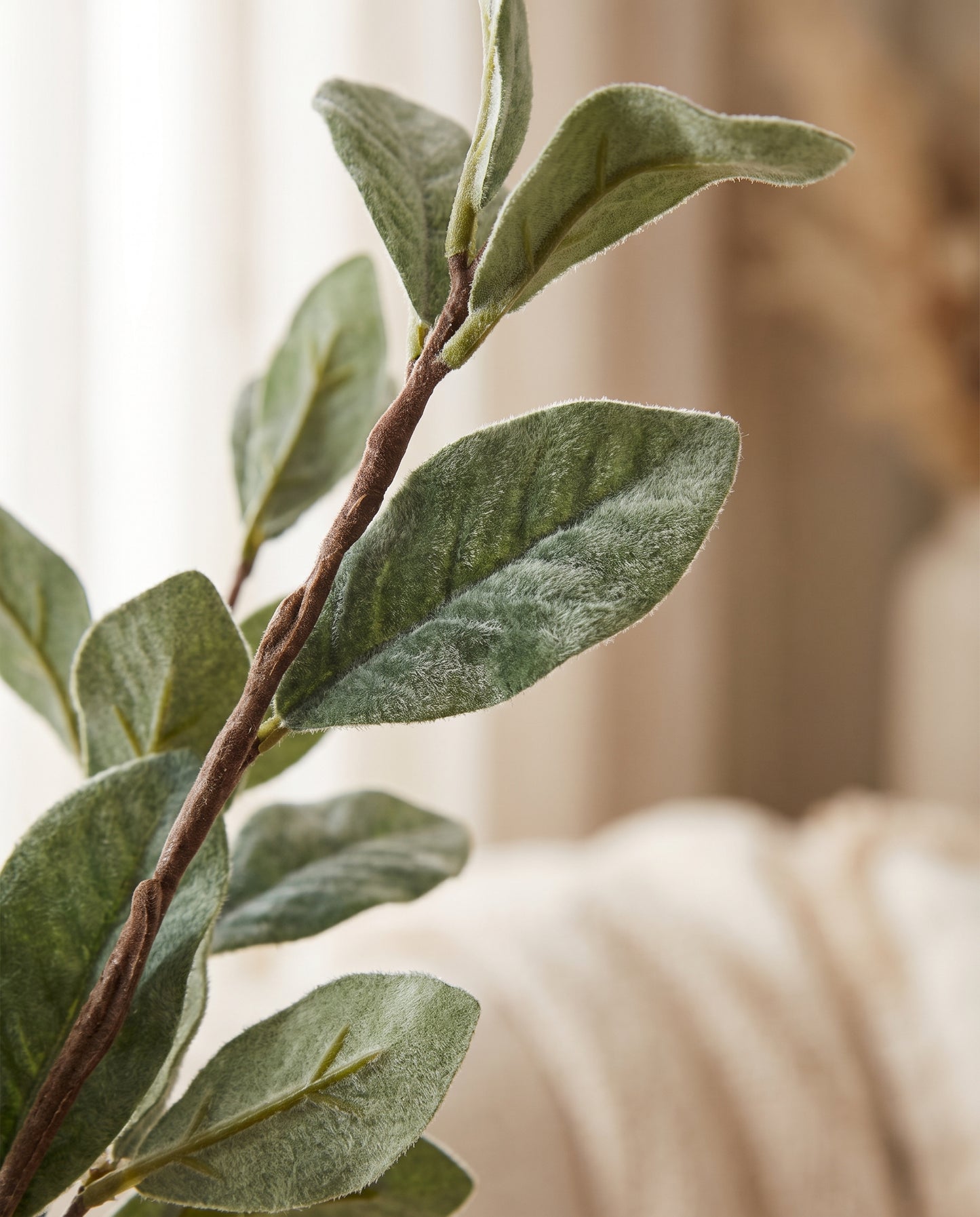 Velvet Leaf Stem sage green leaf texture detail — Lumara Home