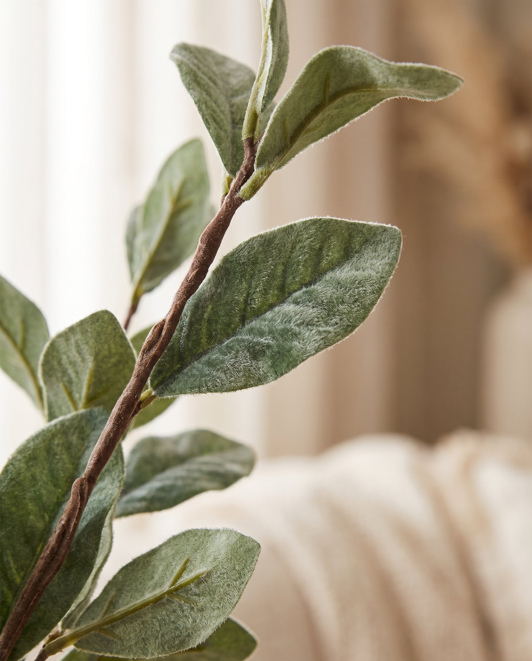 Velvet Leaf Stem sage green leaf texture detail — Lumara Home
